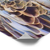 POSTER EAGLE DE MER (Coin)