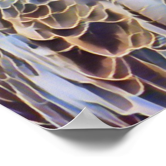 POSTER EAGLE DE MER (Coin)