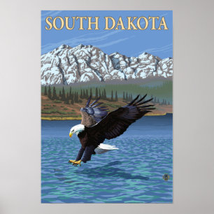 Poster Eagle Diving Dakota du Sud