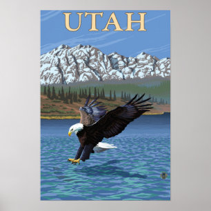 Poster Eagle DivingUtah
