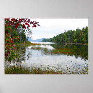 Poster Eagle Lake et feuilles de érable rouges II