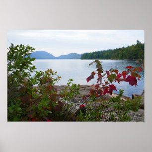 Poster Eagle Lake et feuilles d'érable rouges I