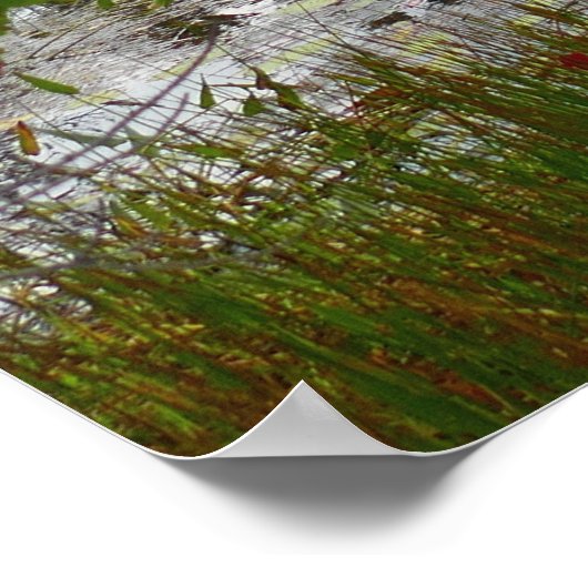 Poster Eagle Lake et Red Maple Feuilles II (Coin)