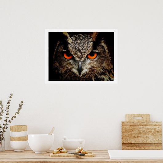 Poster Eagle Owl Eyes (Cuisine)