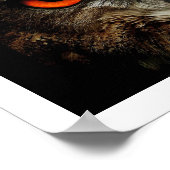 Poster Eagle Owl Eyes (Coin)