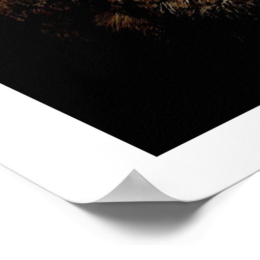 Poster Eagle Owl Eyes (Coin)