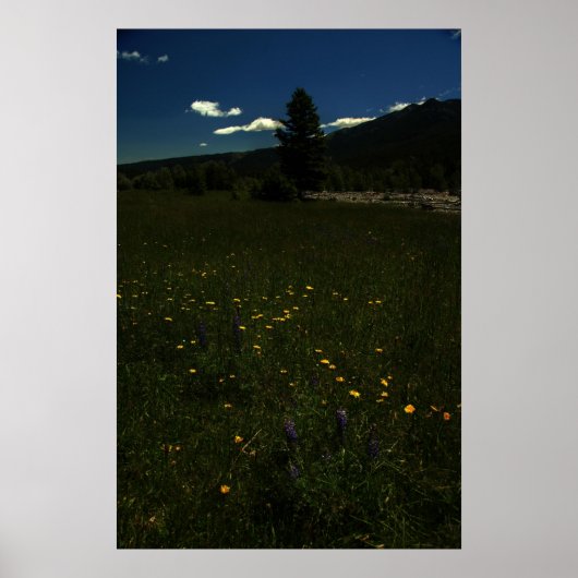 Poster Eagle Park Fleurs sauvages (Devant)