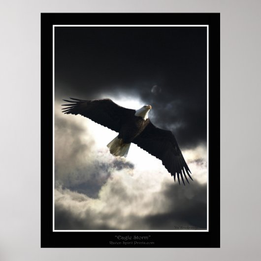 poster "Eagle Storm" (Voorkant)