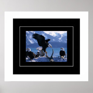 Poster-Eagles Poster