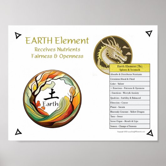 Poster Earth Element Acupuncture (Devant)