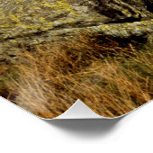 Poster Easedale Tarn Cumbria Angleterre (Coin)