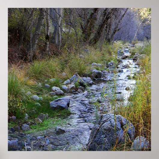 Poster East Fork/Hayfork creek...... (Devant)