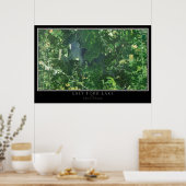 Poster East Fork Lake State Park Ohio Carte satellite (Cuisine)