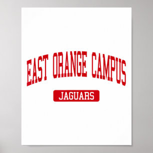 Poster East Orange Campus High School S East Orange Nj V