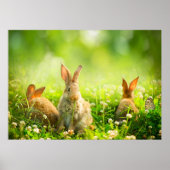 Poster Easter Rabbits (Devant)