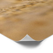 Poster Eastern cottontail rabbit hopping (Coin)