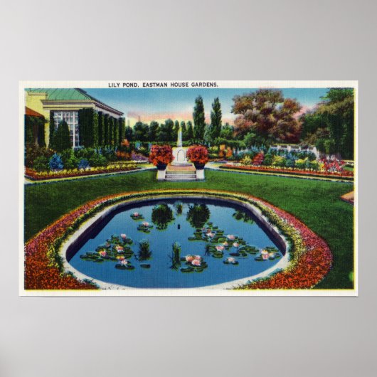Poster Eastman House Gardens Lily Pond (Devant)