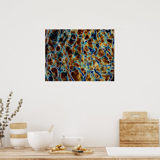 POSTER EAU (Cuisine)