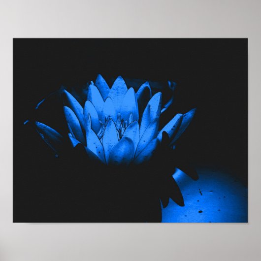 Poster Eau bleu brillant Lily Lotus Fleur Abstraite (Devant)