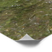 Poster Eau bouillonnante des chutes d'eau (Coin)