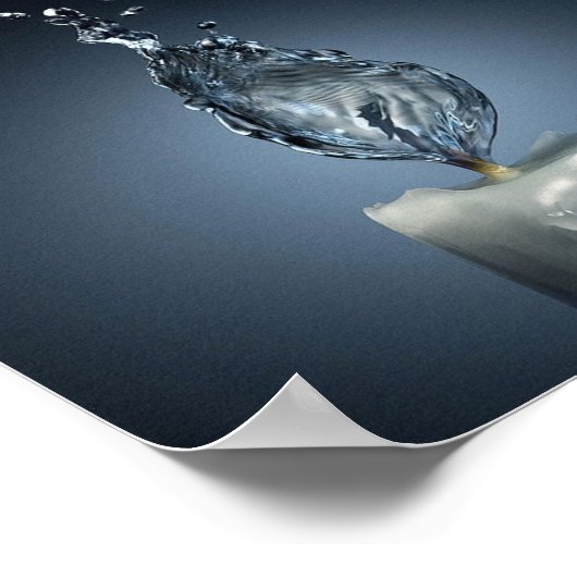 Poster Eau brûlante (Coin)