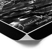 POSTER EAU BW2 (Coin)