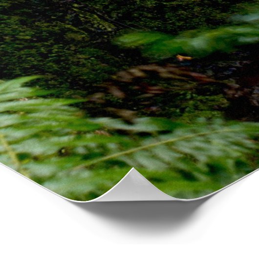 Poster Eau cachée (Coin)