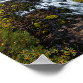 Poster Eau coulant dans la forêt d'automne (Coin)