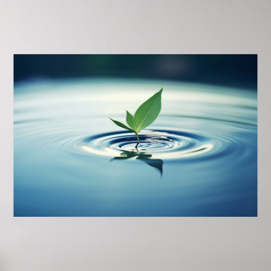 Poster Eau de feuilles Tranquille Nature paisible (Devant)
