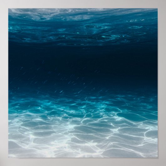 Poster Eau de mer sous la mer (Devant)