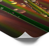 Poster Eau Droplets Calme Nature Tranquille Zen (Coin)