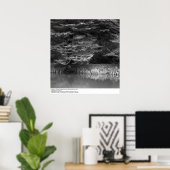 Poster Eau et arbres près de UC San Francisco, 1966 (Bureau à domicile)