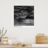 Poster Eau et arbres près de UC San Francisco, 1966 (Cuisine)