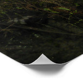 Poster Eau et Terre (Coin)