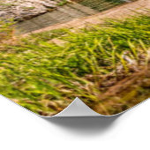 Poster Eau | Hanging Lake Glenwood Springs, Colorado (Coin)