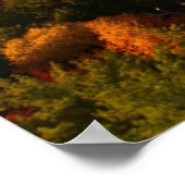 Poster Eau | Parc provincial Killarney Canada (Coin)