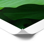 Poster Eau pluviale sur une feuille de lotus : Japon (Coin)