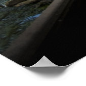 Poster Eau Sous Le Pont (Coin)