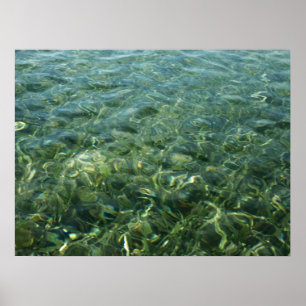 Poster Eau sur l'herbe marine I Nature caraïbe