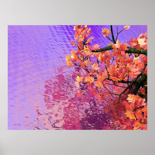 Poster Eaux automnales (Devant)