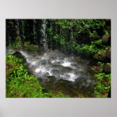 Poster Eaux chatoyantes (Devant)