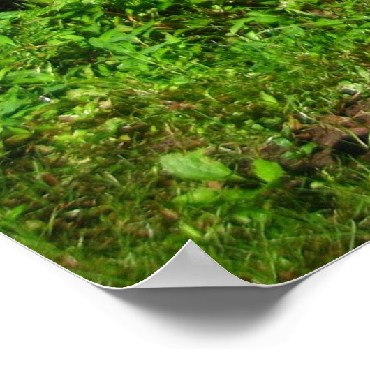 Poster Eaux chatoyantes (Coin)