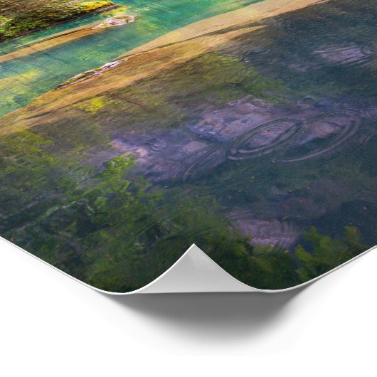 Poster Eaux Claires (Coin)