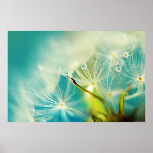 Poster Eaux descendantes (Devant)