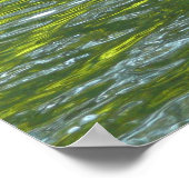 Poster Eaux d'Oak Creek Nature jaune et verte Photo (Coin)