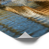 Poster Eaux Palomino (Coin)