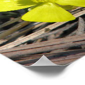 Poster eb914d3d831da7681f0eff33fe3afaf5_200 (Coin)