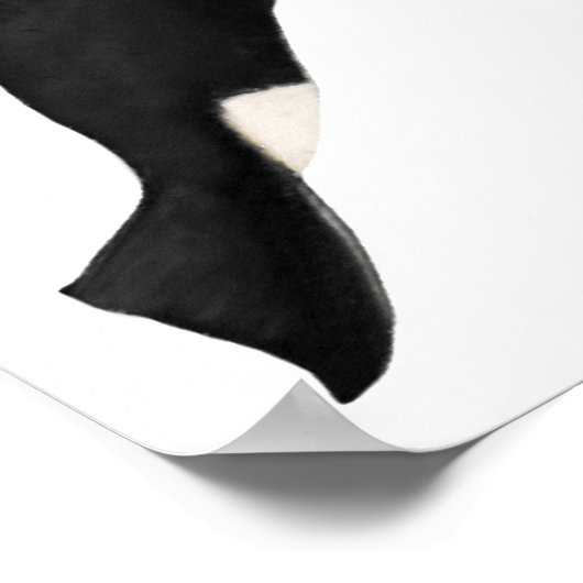 Poster Ebaleine isolée (Coin)