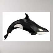 Poster Ebaleine isolée (Devant)