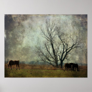 Poster Ébauche de chevaux en campagne